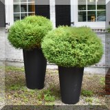 L08. Tall round planters. 